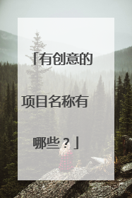 有创意的项目名称有哪些?