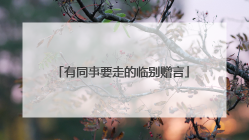 有同事要走的临别赠言