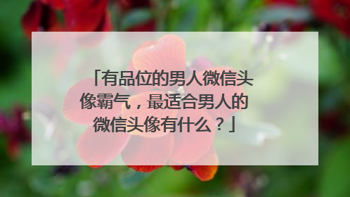 有品位的男人微信头像霸气，最适合男人的微信头像有什么？