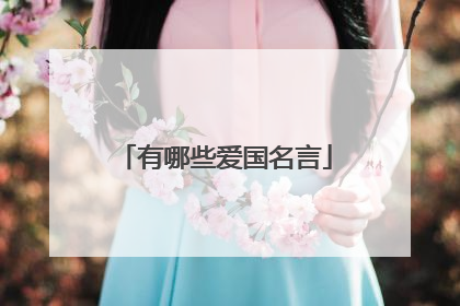 有哪些爱国名言
