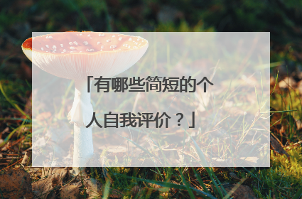 有哪些简短的个人自我评价？