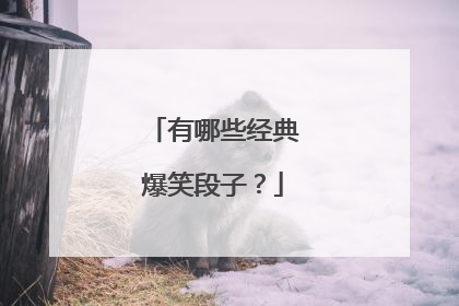 有哪些经典爆笑段子?