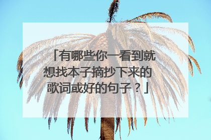 有哪些你一看到就想找本子摘抄下来的歌词或好的句子？