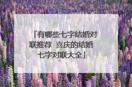 有哪些七字结婚对联推荐 喜庆的结婚七字对联大全