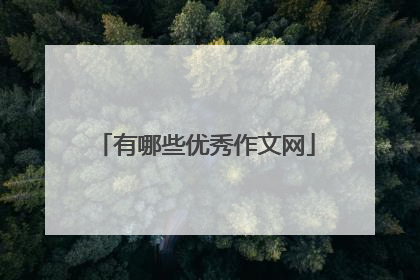 有哪些优秀作文网