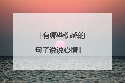 有哪些伤感的句子说说心情