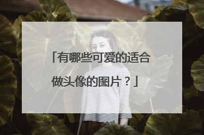 有哪些可爱的适合做头像的图片?