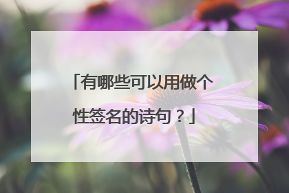 有哪些可以用做个性签名的诗句？