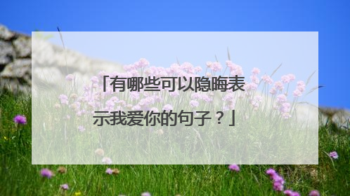 有哪些可以隐晦表示我爱你的句子？