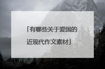 有哪些关于爱国的近现代作文素材