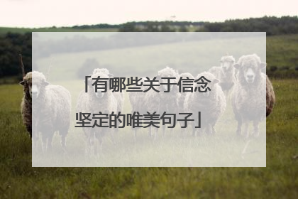 有哪些关于信念坚定的唯美句子