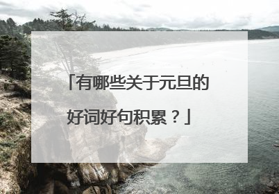 有哪些关于元旦的好词好句积累?