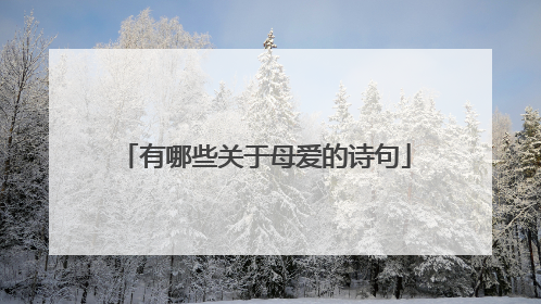 有哪些关于母爱的诗句