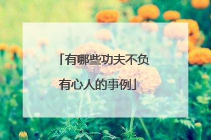 有哪些功夫不负有心人的事例