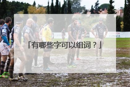 有哪些字可以组词?