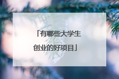 有哪些大学生创业的好项目
