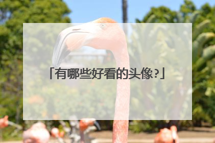 有哪些好看的头像?