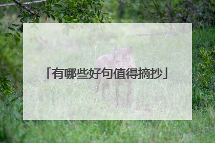 有哪些好句值得摘抄