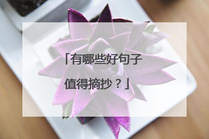 有哪些好句子值得摘抄?