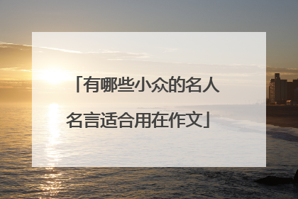 有哪些小众的名人名言适合用在作文