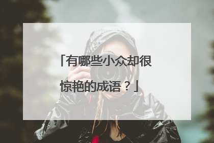有哪些小众却很惊艳的成语?
