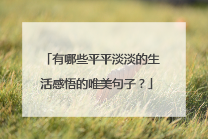 有哪些平平淡淡的生活感悟的唯美句子？