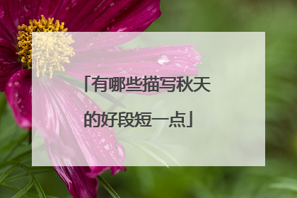 有哪些描写秋天的好段短一点