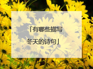 有哪些描写冬天的诗句
