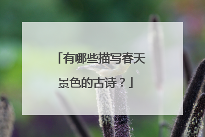 有哪些描写春天景色的古诗?