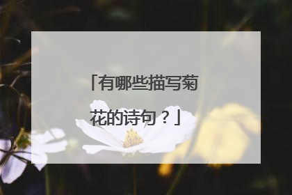 有哪些描写菊花的诗句？