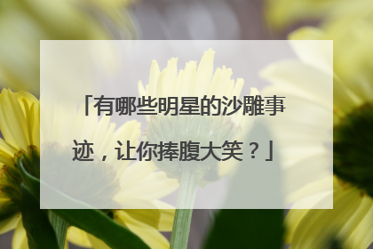 有哪些明星的沙雕事迹，让你捧腹大笑？