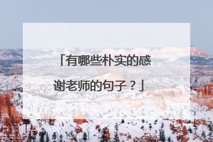 有哪些朴实的感谢老师的句子?