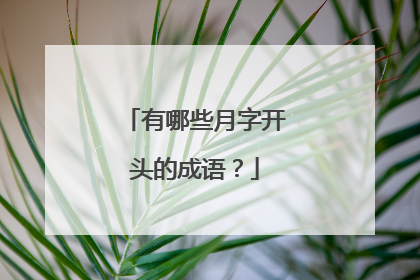 有哪些月字开头的成语?