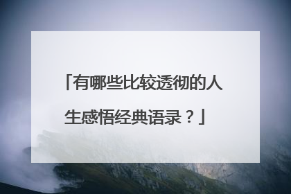 有哪些比较透彻的人生感悟经典语录？