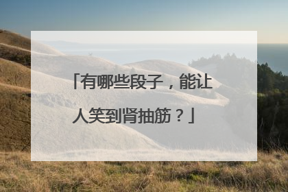 有哪些段子，能让人笑到肾抽筋？