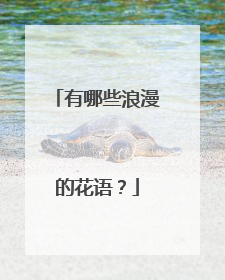 有哪些浪漫的花语？
