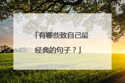 有哪些致自己最经典的句子？