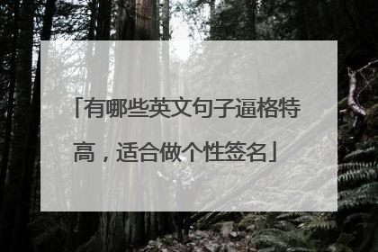 有哪些英文句子逼格特高,适合做个性签名