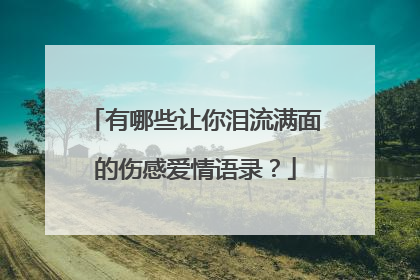 有哪些让你泪流满面的伤感爱情语录？