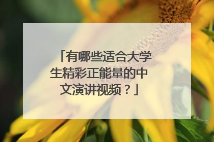 有哪些适合大学生精彩正能量的中文演讲视频？