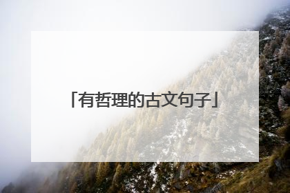 有哲理的古文句子
