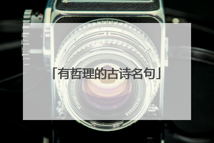 有哲理的古诗名句