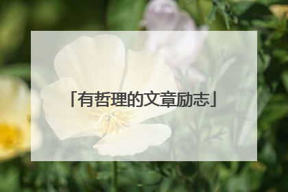 有哲理的文章励志