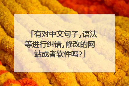 有对中文句子,语法等进行纠错,修改的网站或者软件吗?