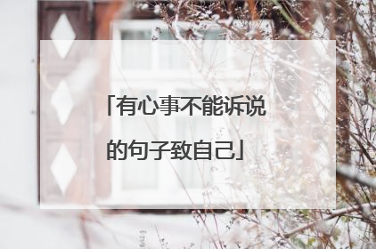 有心事不能诉说的句子致自己