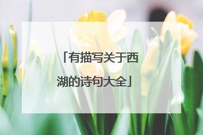 有描写关于西湖的诗句大全