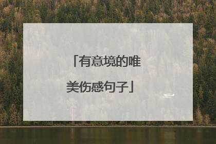 有意境的唯美伤感句子