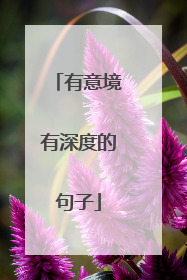 有意境有深度的句子