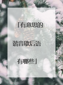 有意思的谐音歇后语有哪些
