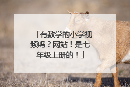有数学的小学视频吗?网站!是七年级上册的!